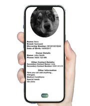 Tap and Share 2-In-1 SmartTrack Pet Tag with 'Am I Lost' - Smart Pet Tracker - White