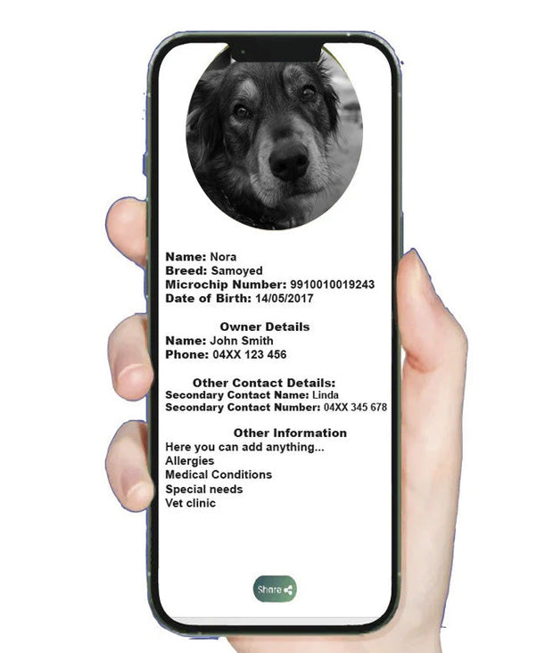 Tap and Share 2-In-1 SmartTrack Pet Tag with 'Am I Lost' - Smart Pet Tracker - White